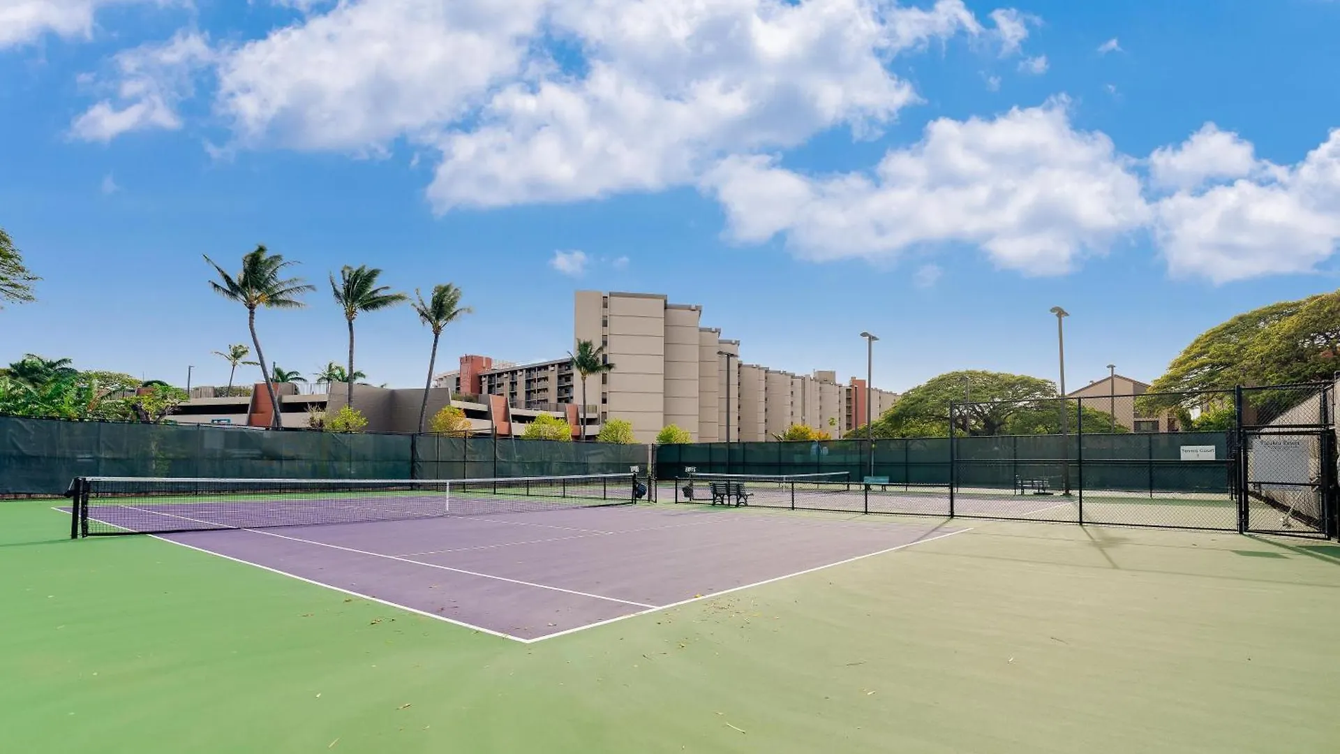 Papakea A306 Apartment Kahana United States