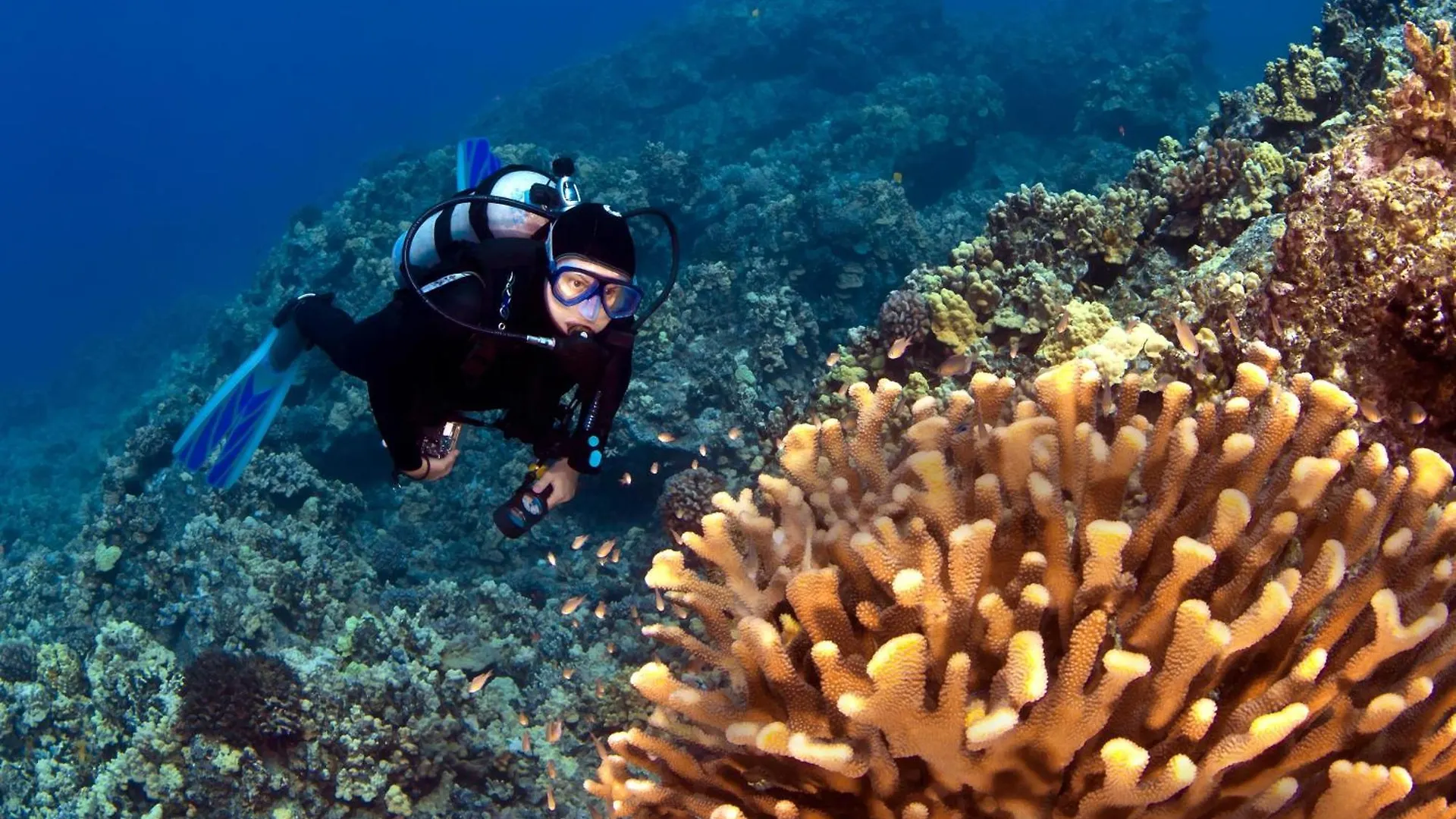 Appartamento Papakea A306 Kahana 0*,  Stati Uniti